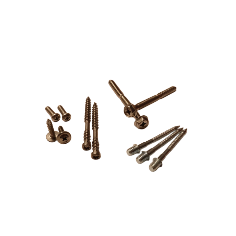 CUSTOMIZED SCREWS